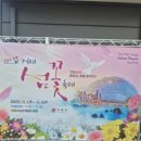 거제 가볼만한 곳)거제 섬꽃 축제 후기