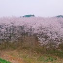 복드림부동산공인중개사사무소 이미지