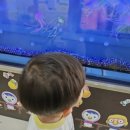 조영번소아과 네이버블로그