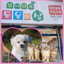 모여봐요동물의샾