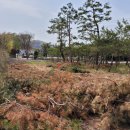 동패1통 이미지