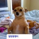 깐깐한족발 (하남점) | 10월, 3