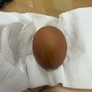 완산-143 | [10월] 별일 없는 무탈한 나날들