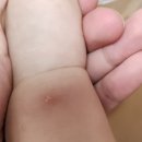 신필진소아청소년과의원 이미지