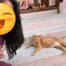 [내돈내산] 남양주 묘적사 차담형 템플스테이 내돈내산 후기