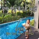아기랑 푸꾸옥 여행 6일차 (풀만리조트 카바나 풀억세스룸 망고빙수 키즈클럽 룸서비스 메뉴추천)