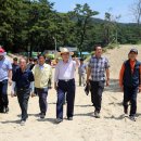 대전해수욕장1 이미지