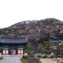 완산-4 이미지