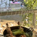 돌담집식당 이미지