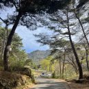 관룡사 앞 | 창녕 화왕산 관룡사 + 용선대 다녀온 후기 (울산 출발 당일 코스 추천)