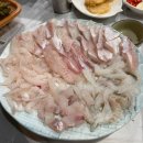 바다회119