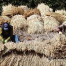 현구생가 이미지