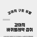 링크늘푸른동물병원 이미지