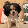 몽크의 아뜰리에 이미지