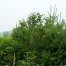 햇빛농장 이미지