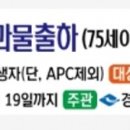 영천청과물