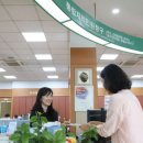 토지 이미지