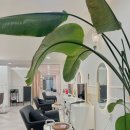 빗장미용실 | 내 것 같은 자연스러움 [부천 붙임머리샵] 소개