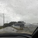 위드벅스 이미지