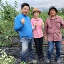 김성환농장 이미지