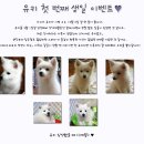 미셸서울역 - 5598 | 미셸서울역