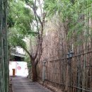 드래곤힐스파 이미지