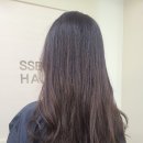 쎄이헤어 이미지