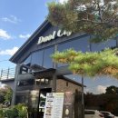 다올 | 경기광주 키즈카페 아이동반 동물체험 가능한 다올카페