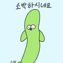 더어 이미지