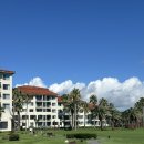 해비치 | 🍊제주🍊해비치 호텔&amp;리조트 후기