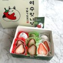 맛나당제과
