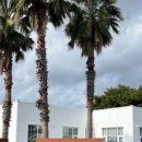 제주 돌담 펜션 이미지