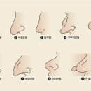 코 모양으로 보는 성격 이미지