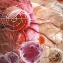 디노메디 이미지