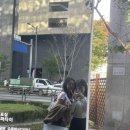 (주)서진아이티에스 | 2024.11 일기