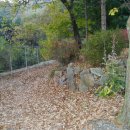 숲속의집 이미지