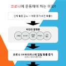 부산챔프복싱 이미지