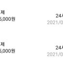 24시꿈동물병원 네이버블로그