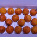 상덕농장 이미지