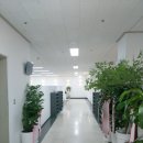 파주한빛병원 이미지