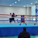 SBoxingGYM 이미지