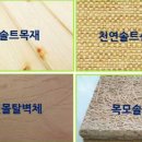 솔트리