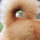 이마트24 대전호동대로점 | 내 블챌이 멈추지 않는 탓일까 ㅜ.ㅜ