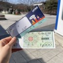 (주)포천교통 | 포천아트밸리 천주호 도보로 구경하기 (+입장료, 모노레일)