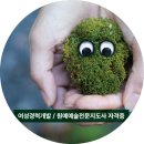 (자격증)원예예술전문지도사 3급 이미지