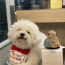 동동카페 이미지