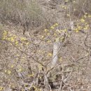 필봉산길 이미지