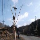 금계농로 이미지