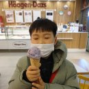 하겐다즈제주신화월드점