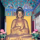 보림사 - 1223 | 보림사